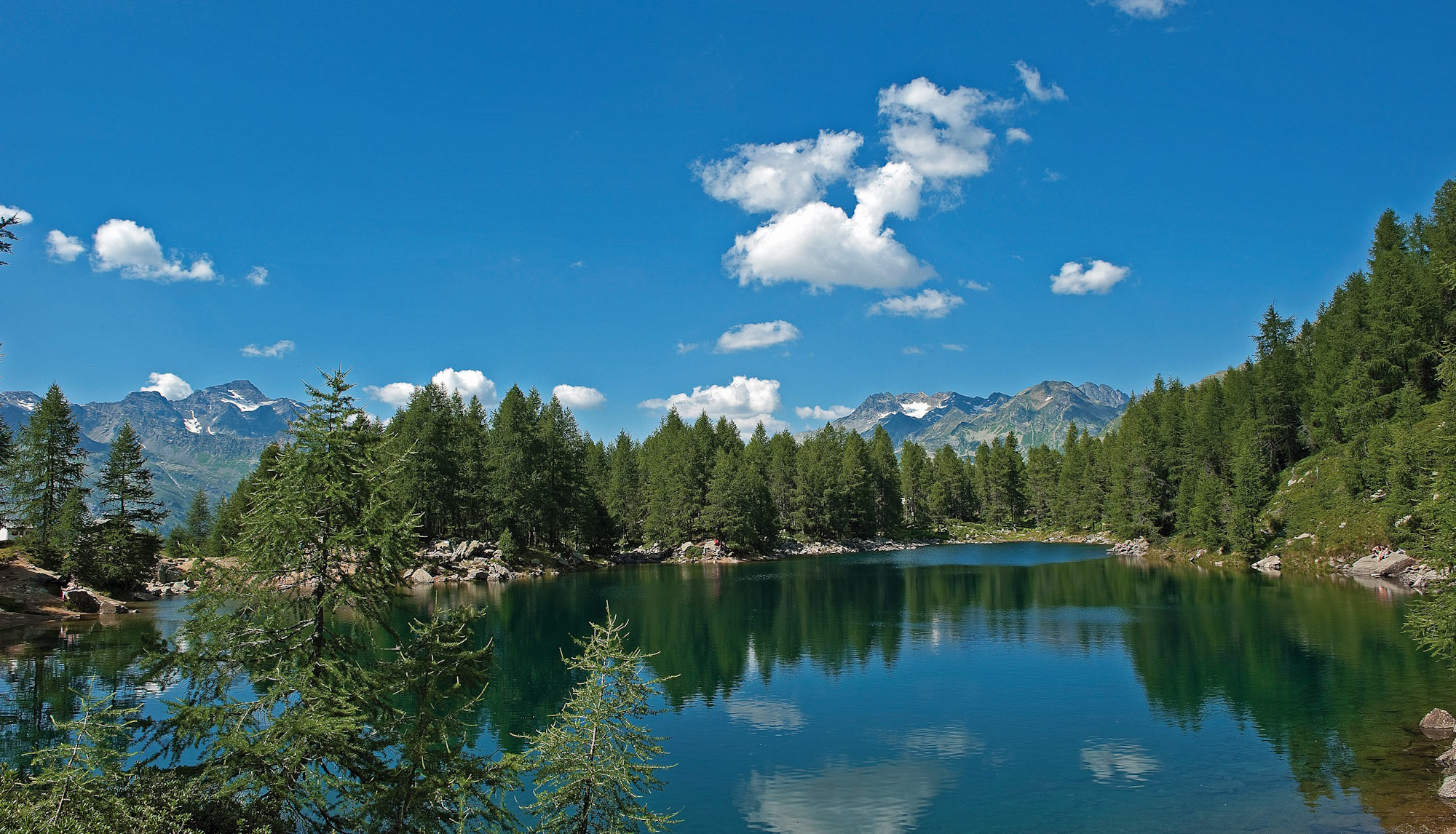 media.lago
